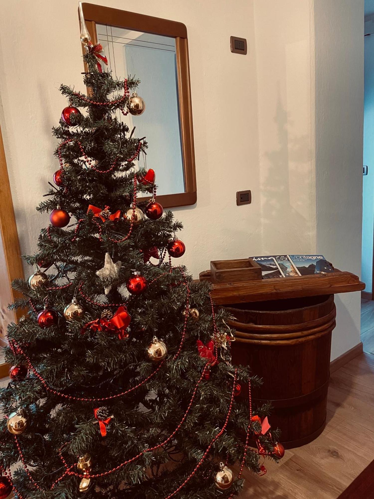 Apartamento Casa Vacanze Cesco Resia San Pietro di Cadore Exterior foto